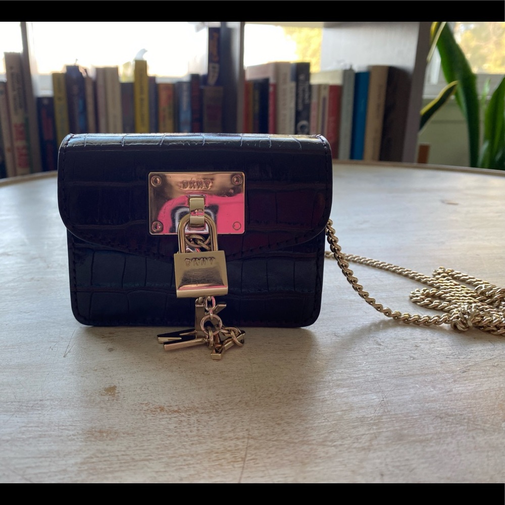 DKNY Elissa Micro Mini Bag (Brown)